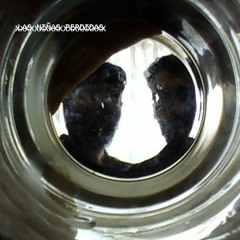 Siro, el guardian ante la ley (maqueta 2)