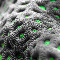 Sascha Milieu (swm.) - To be on a sticky wicket