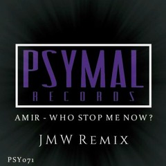 Amir - Who Stop Me Now? (JMW Remix)