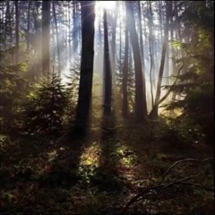 RAMIREZ - The Woods [Prod. YungMilkCrate]