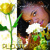 Artwork for Plastic Rose
