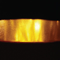 Rrose - Specimen 2