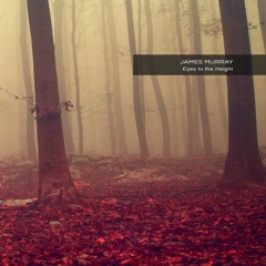 New DownTempo