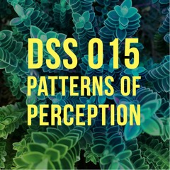 DSS 015  | Patterns Of Perception