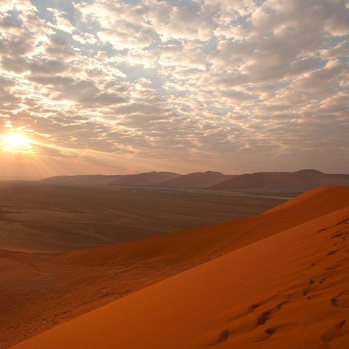 The Life and Legacy of Imam Ahmad ibn Hanbal