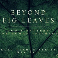 Beyond Fig Leaves - God's Pattern For Human Intimacy