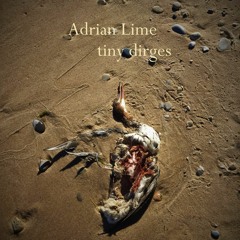Tiny Dirges By Adrian Lime