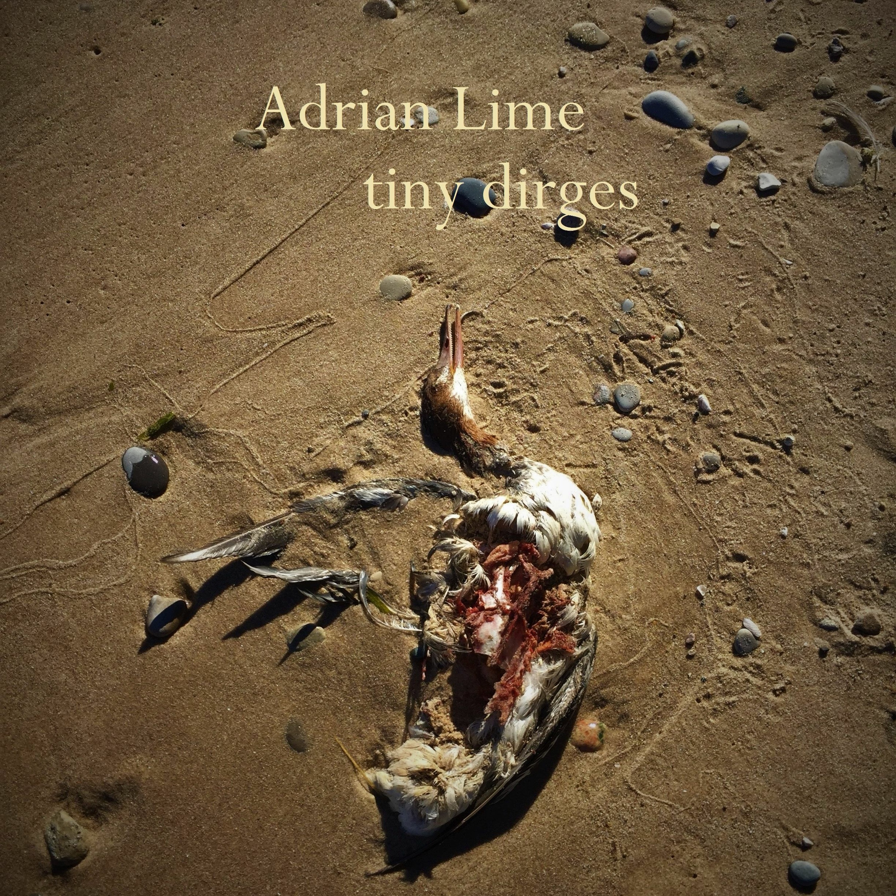 Tiny Dirges By Adrian Lime episode artwork