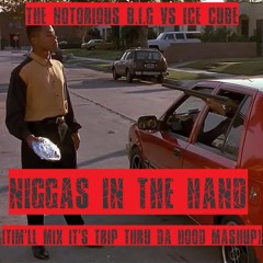 Notorious B.I.G Vs Ice Cube-Niggas In The Hand (Tim'll Mix Its Trip Thru Da Hood Mashup)