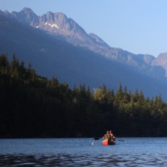 Hide & Seek- Imogen Heap Cover