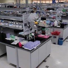 The Lab
