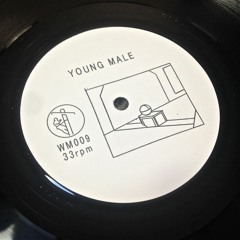 WM009 - Young Male - A2. Reveal(Pacific Coast Highway 1 Version)