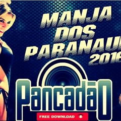 Mc Marcelo Gaucho - Manja Dos Paranauê (Rmx Pancadão 2016) Dj Maycon Pr