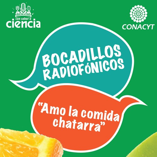 Promocional Educativo:  La Comida Chatarra