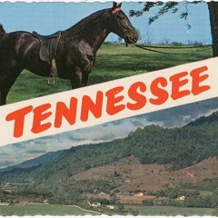 TENNESSEE w/ Dre! & Dallas Hill