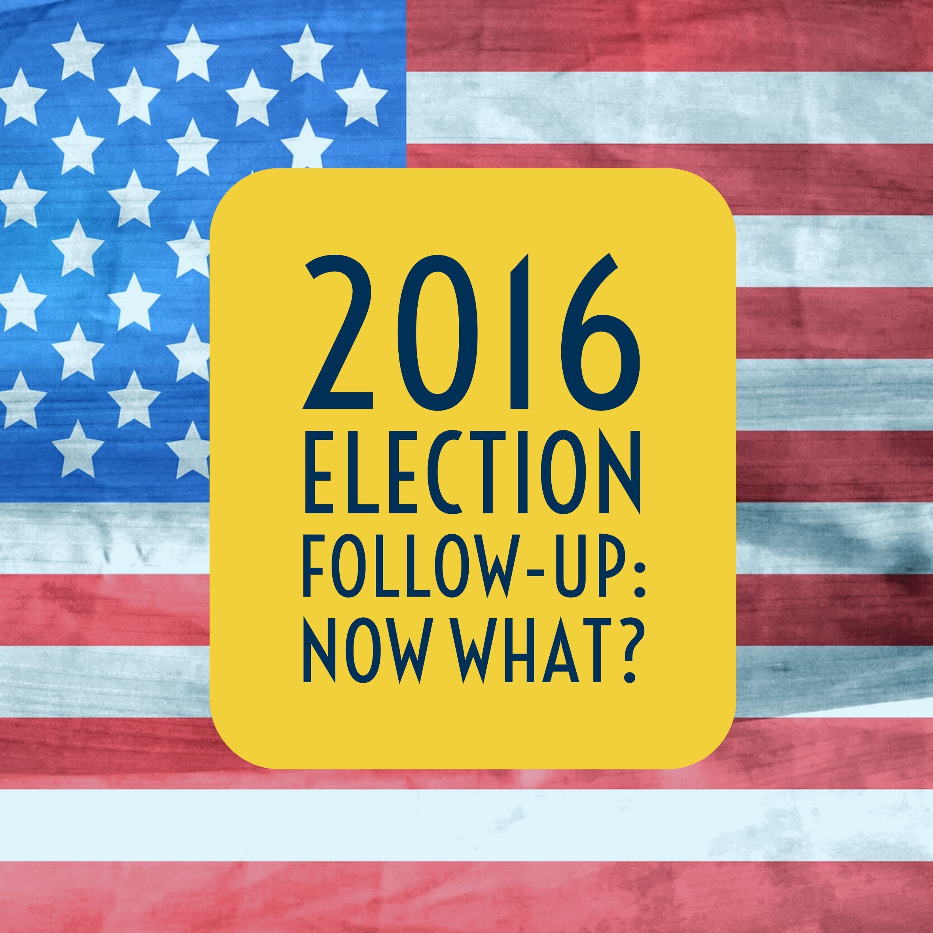 Episode 30: "2016 Election Follow-Up: Now What?" episode artwork