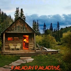Faraday Paradise