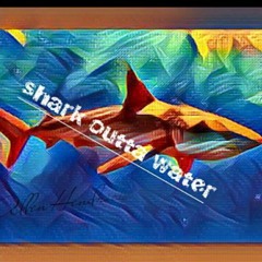 Shark Outta Water