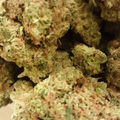 Keep Blowin (Prod.  Xavior Jordan)