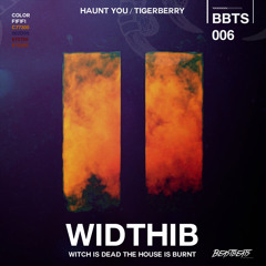HAUNT YOU & TIGERBERRY - Falling Dreams (Nothing) feat. SUICIDEWAVE