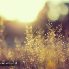 Asa & Koan Sound - Kaneda (Stumbleine Remix)