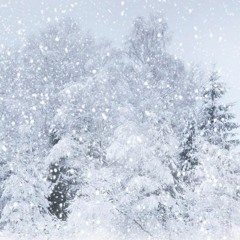 First Cold and Snowy Walk