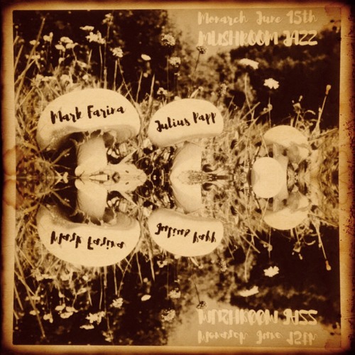 Mushroom Jazz - Julius Papp Live DJ Set on June 15th, 2016 @Monarch in San Francisco.