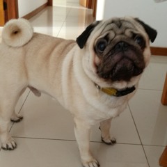 "Eu não preciso disso"