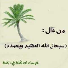 الرقيه الشرعية بصوت ولا أجمــل