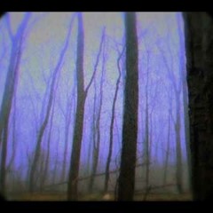 HiM-Other Echos (Touch)