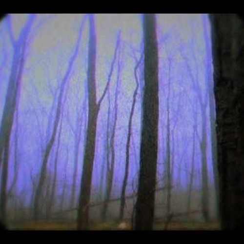 HiM-Other Echos (Touch)