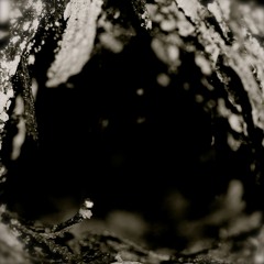 Hole