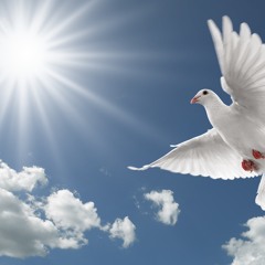 Live In The Sky cover