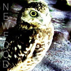 New Food - Automagical - 07 - Tiresome