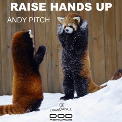 Raise Hands Up (Original Mix)