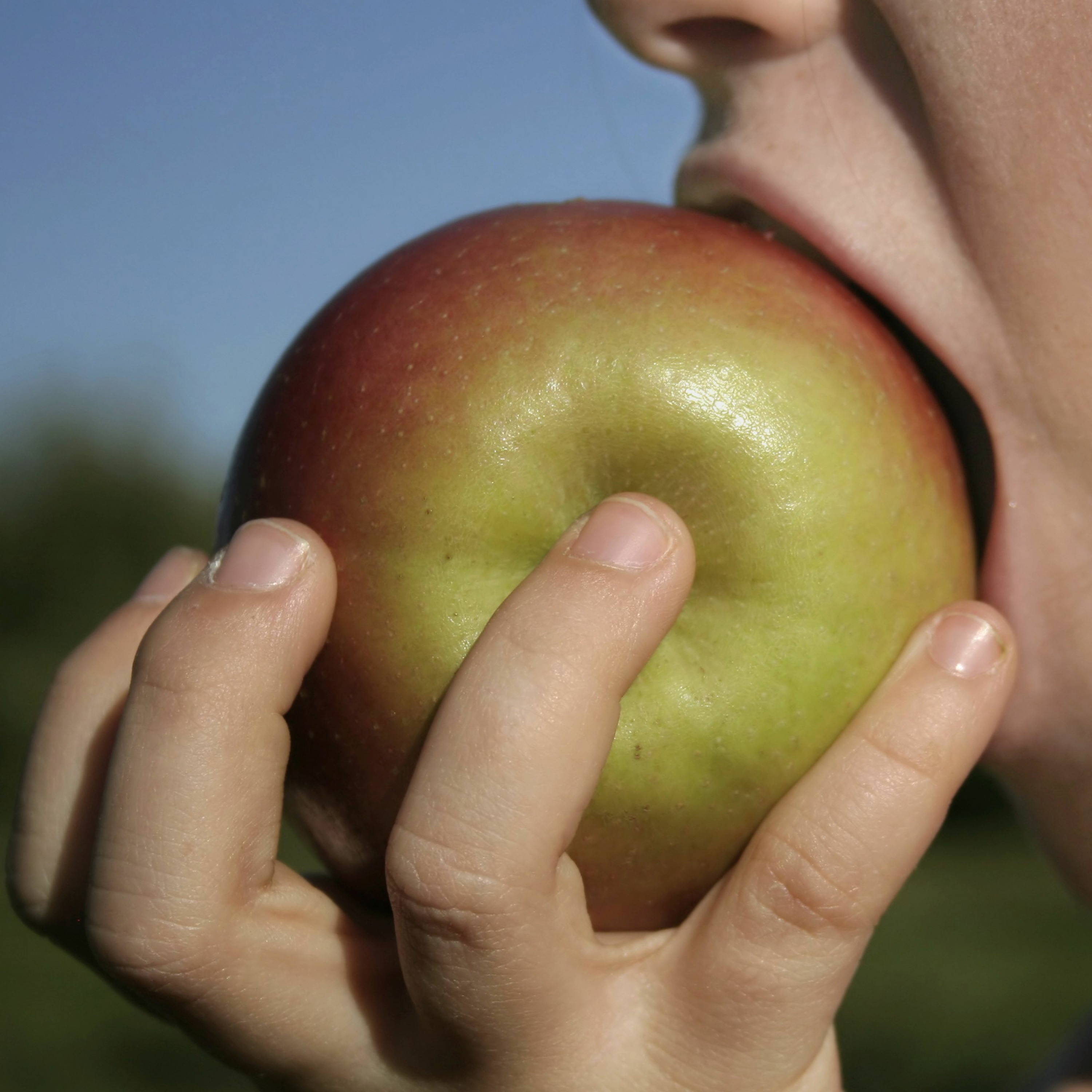 The Three Biggest Challenges Facing the Food System, and How we Fix Them episode artwork