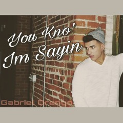You Kno'Im Sayin - Gabriel Orengo