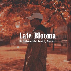 CoMMoN Cama W/ Sweets On Tha Drums