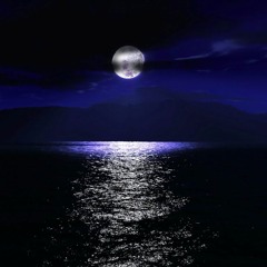 night