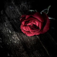 Better off - Snippet