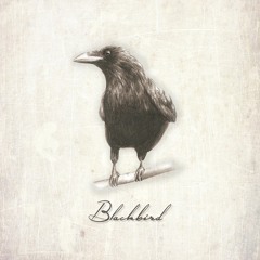 Nico Pusch - Blackbird (Original Mix)