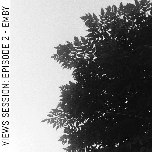 VIEWS Session: Episode 2 - EMBY
