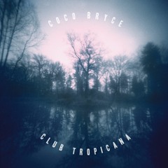 Coco Bryce - Let Me Put My Poems In You