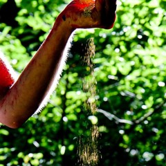 Morning Shine (Acoustic Live 2014)