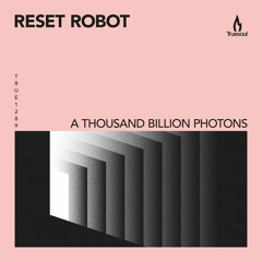 Reset Robot – Wee Bridge – Truesoul – TRUE1289