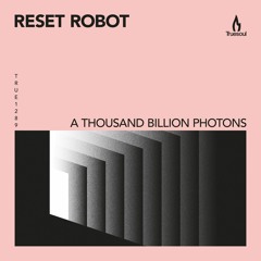 Reset Robot – Bust – Truesoul – TRUE1289