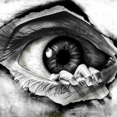 Shutter by Calypso
