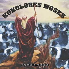 Willy Hillbilly mit dem Fußballchilli (Feat. Horst Bockwurst)