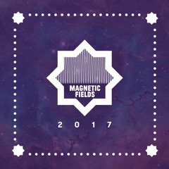 Magnetic Fields 2016
