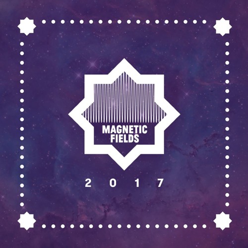 Magnetic Fields 2016